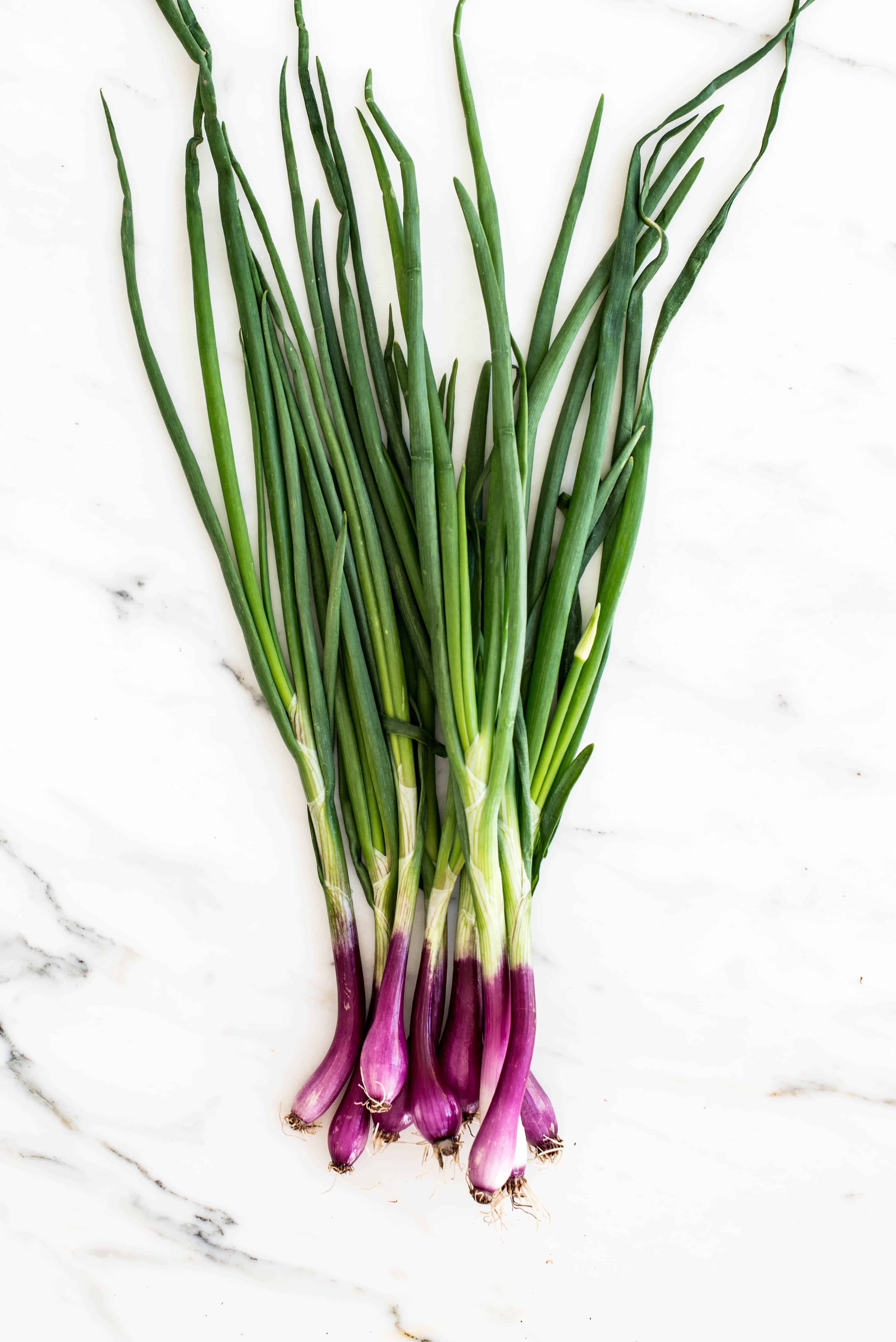 red scallions