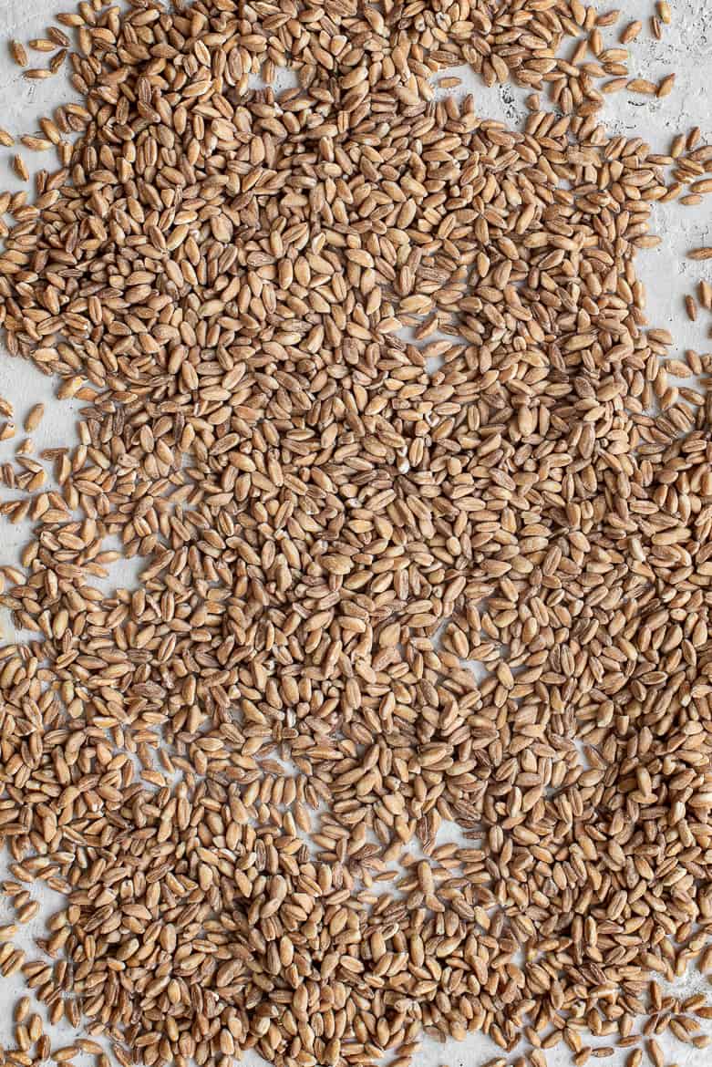 Farro grains