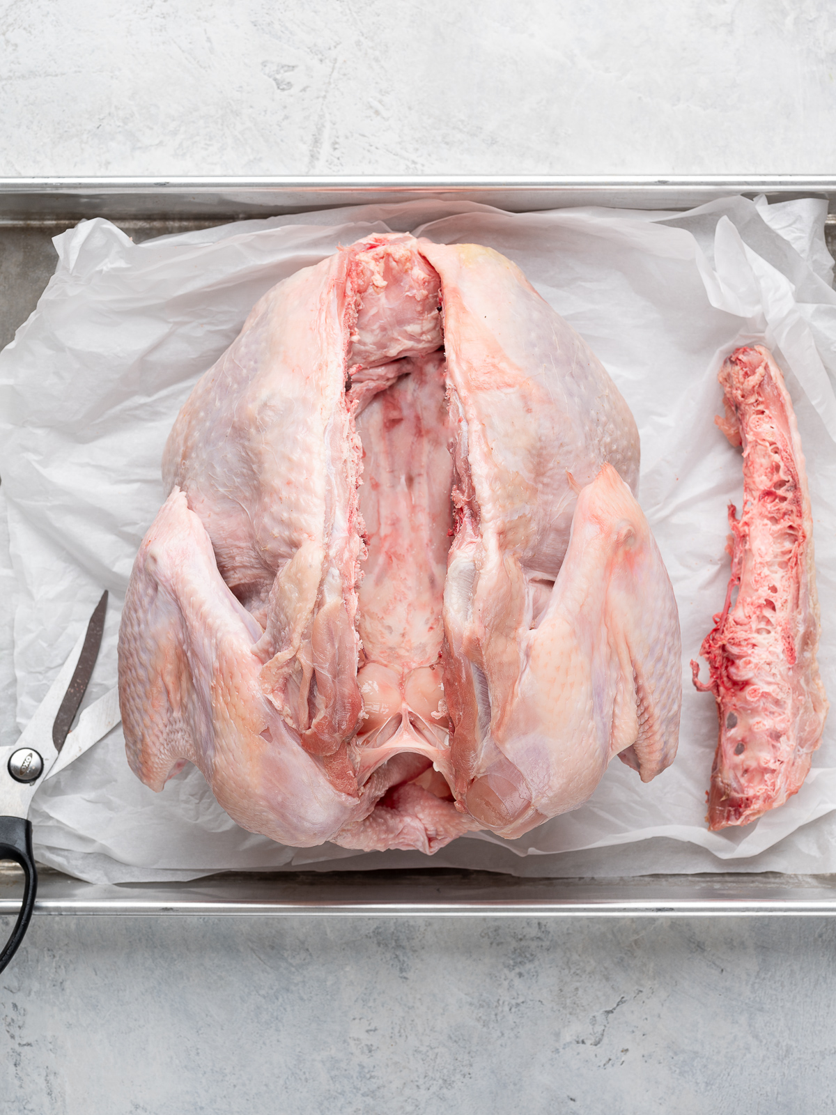 Bacbone removed from turkey.