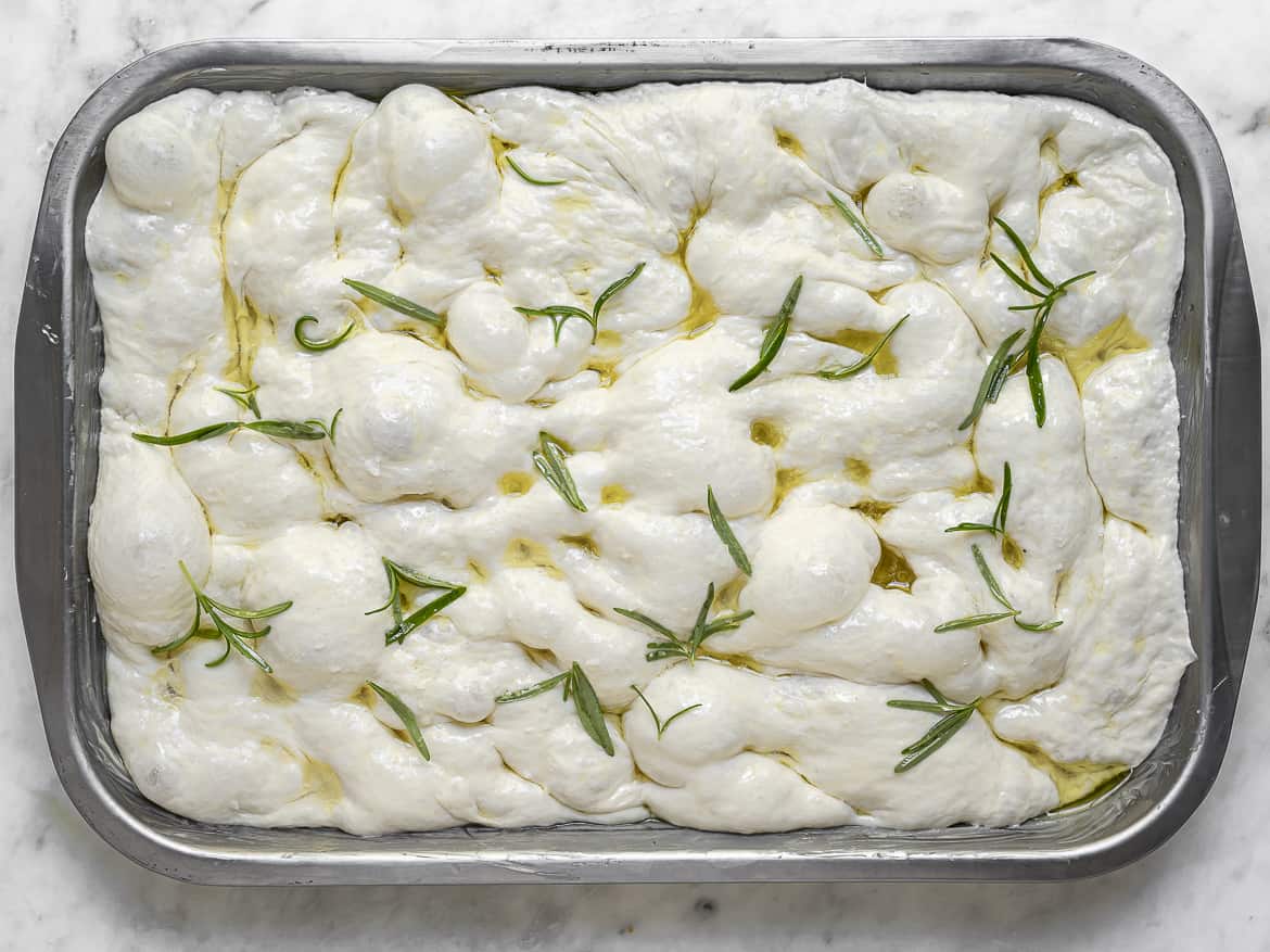 Focaccia dough with rosemary leaves ready to bake