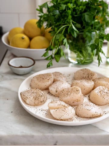 Seasoned Scallops on plate 