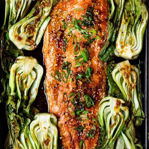 close up of salmon with scallions and sesame seeds