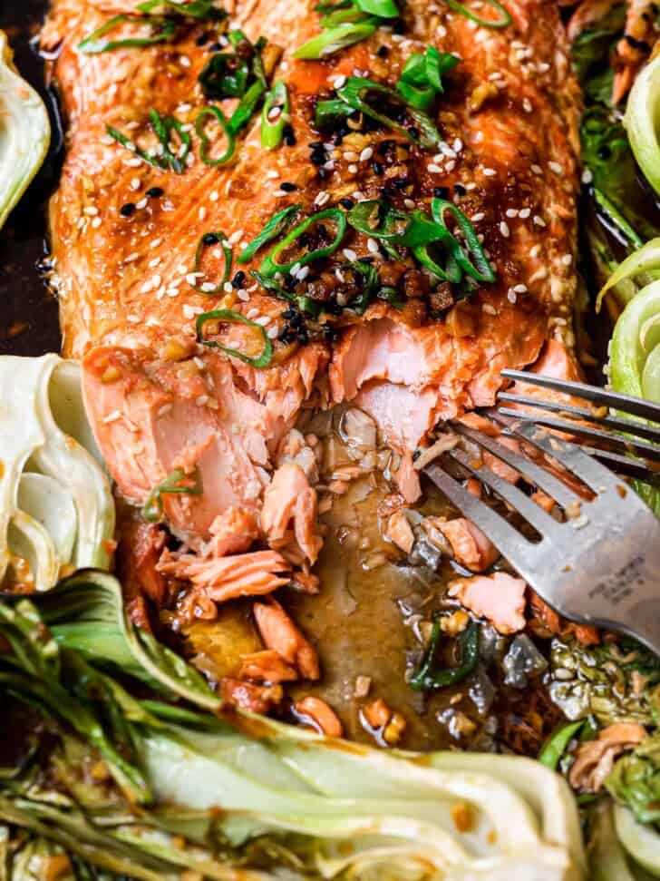 close up of salmon being served with forks