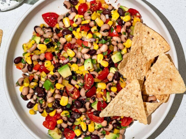 close up of dip with tortillas