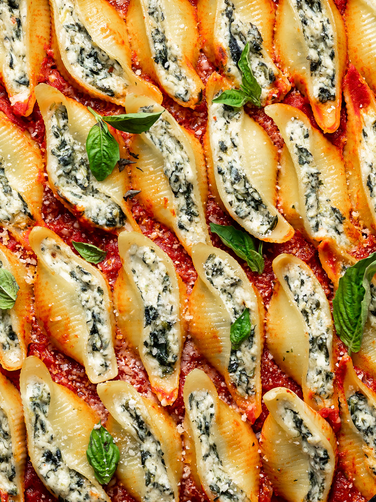 A close up of baked Spinach ricotta Stuffed shells 