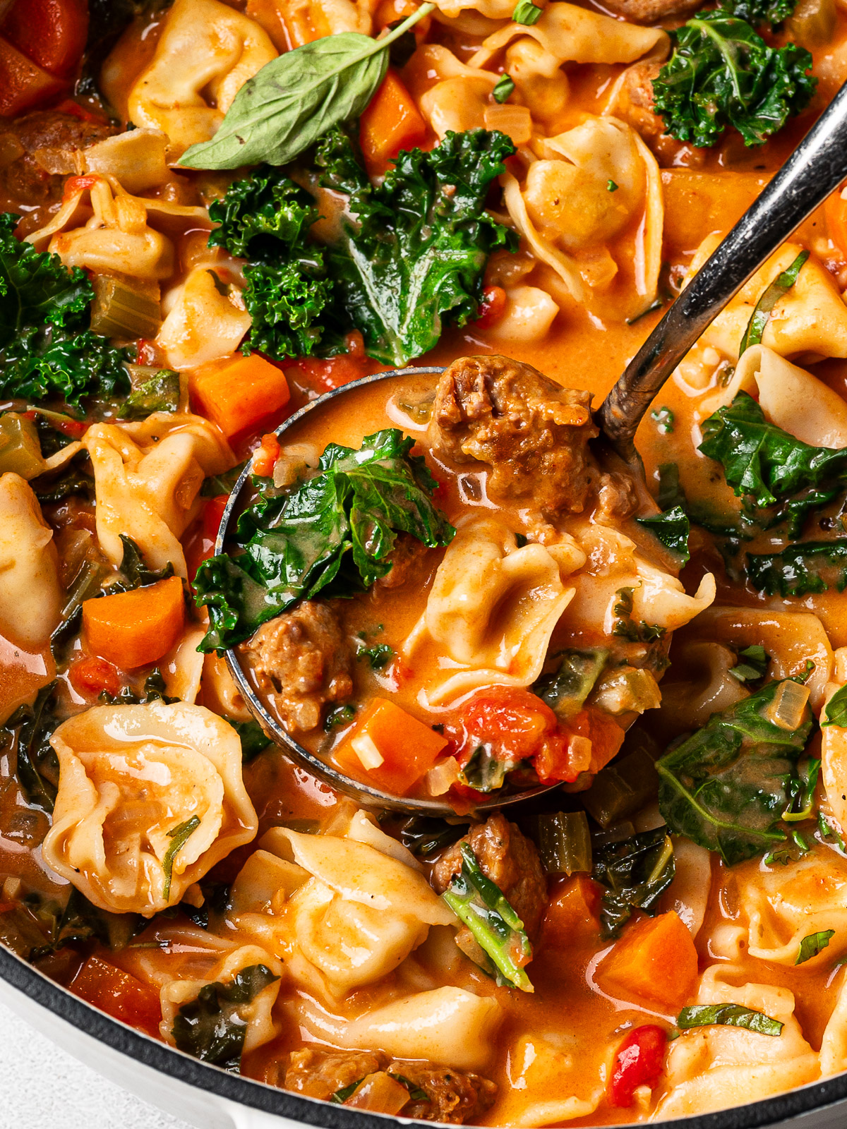 Close up of a ladle filled with tortellini soup.