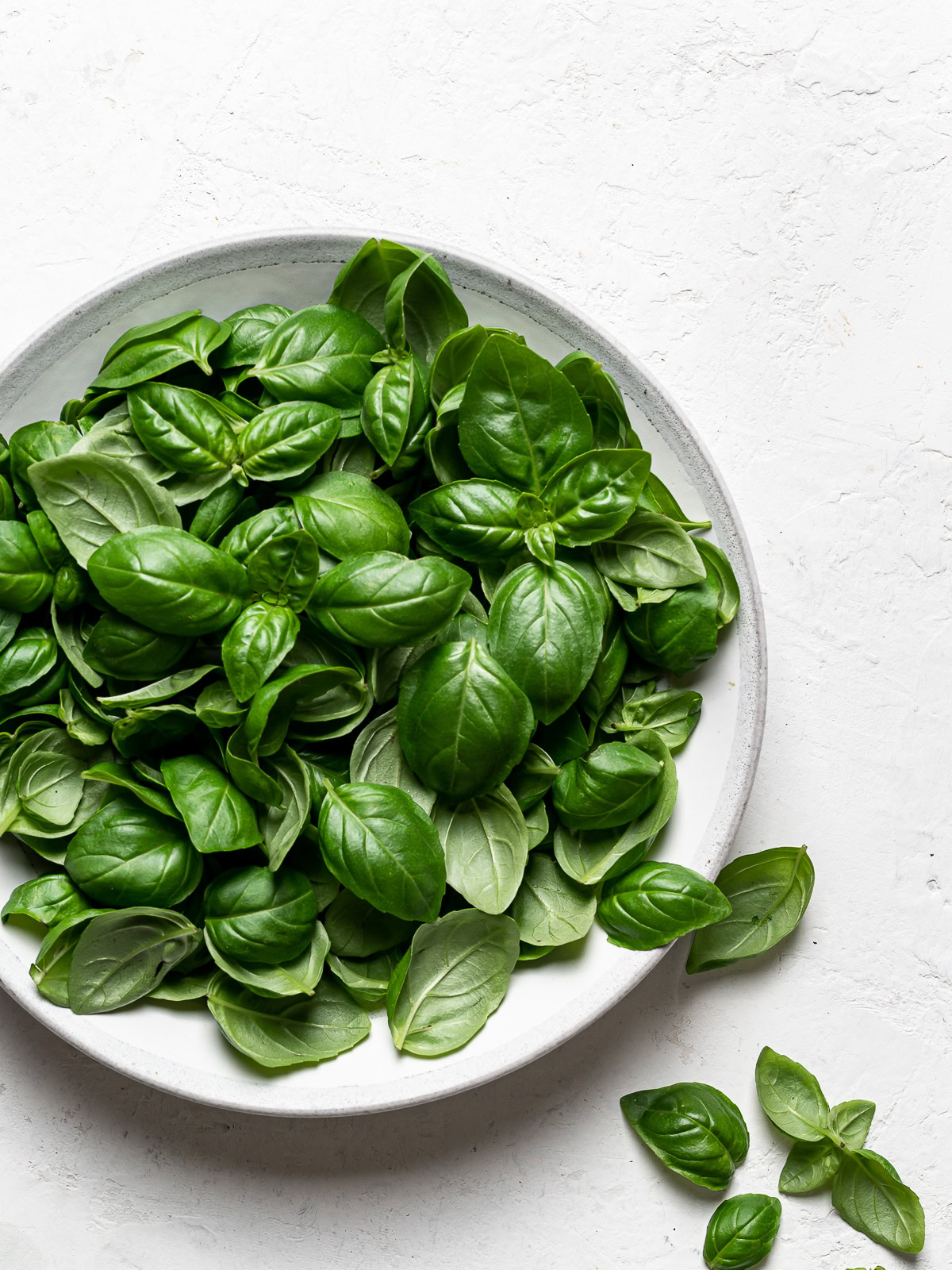 basil leaves in bowl