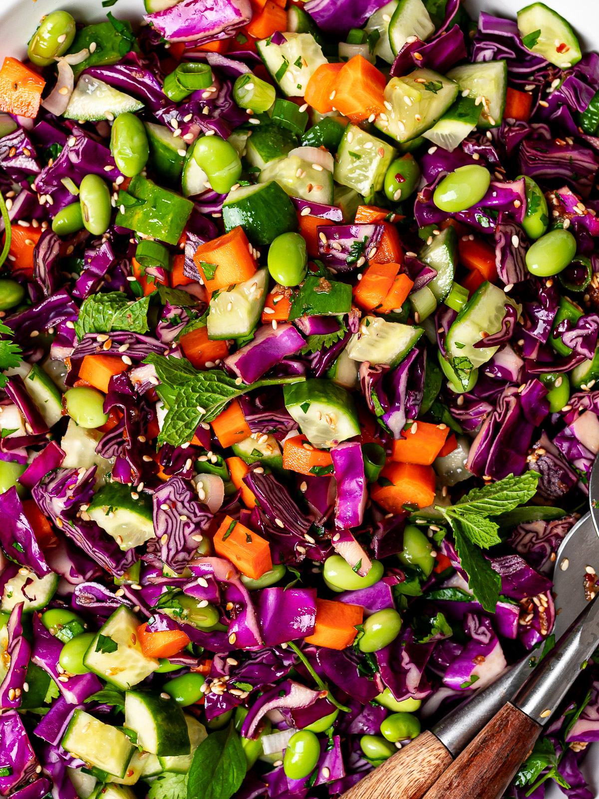 close up of Thai chopped salad with sesame-ginger dressing served in salad bowl