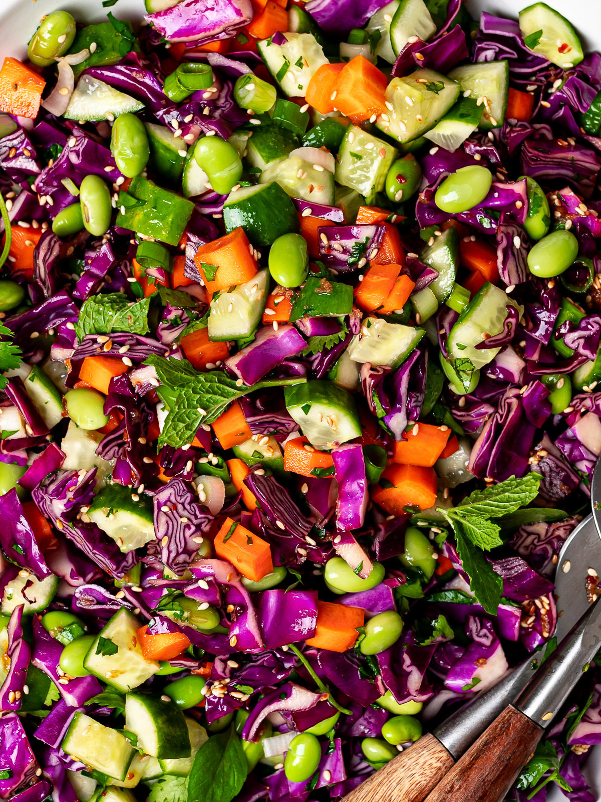 close up of Thai chopped salad with sesame-ginger dressing served in salad bowl