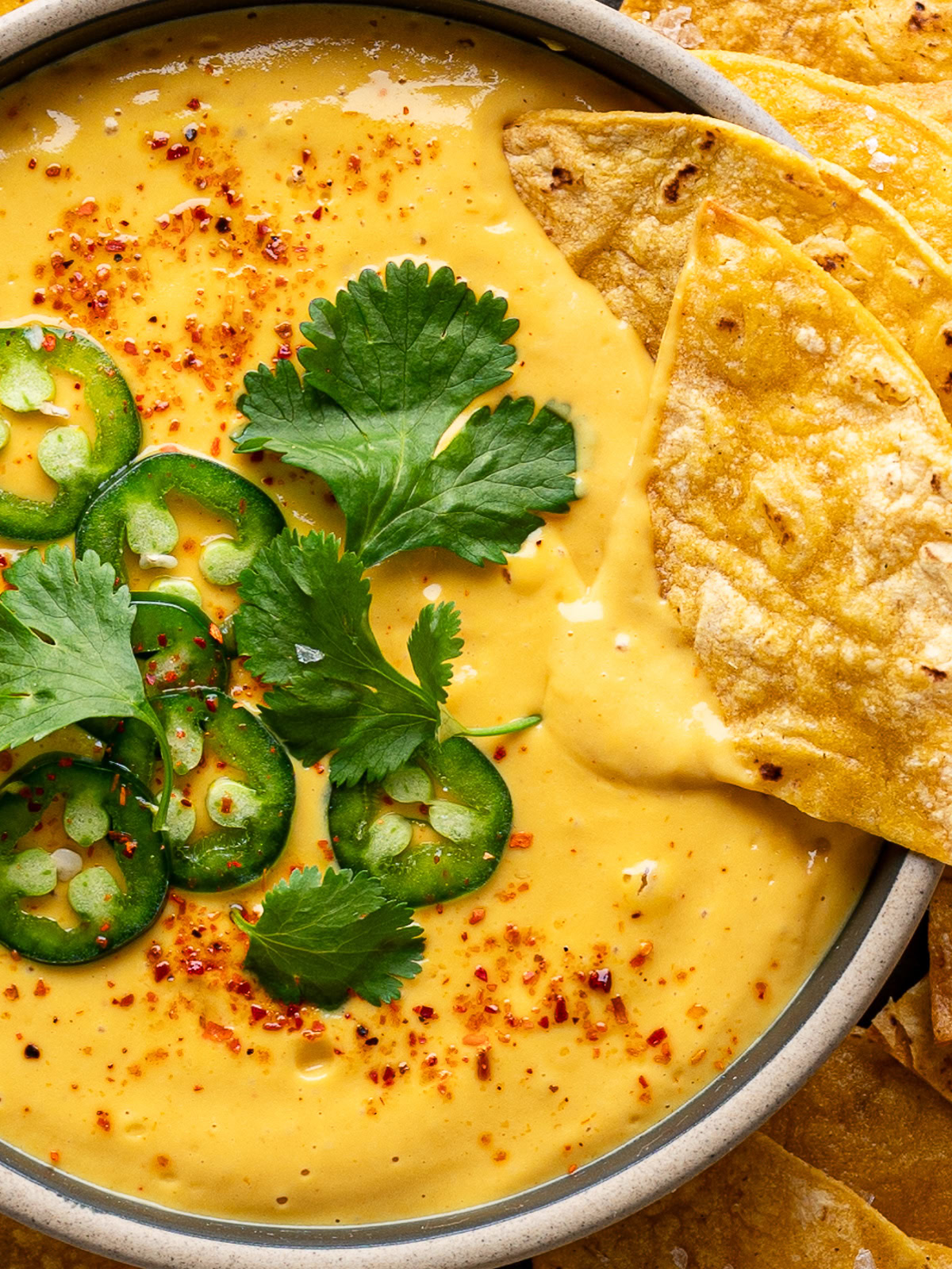 closeup of Vegan queso served in a bowl with two tortilla chips dipped in the sauce