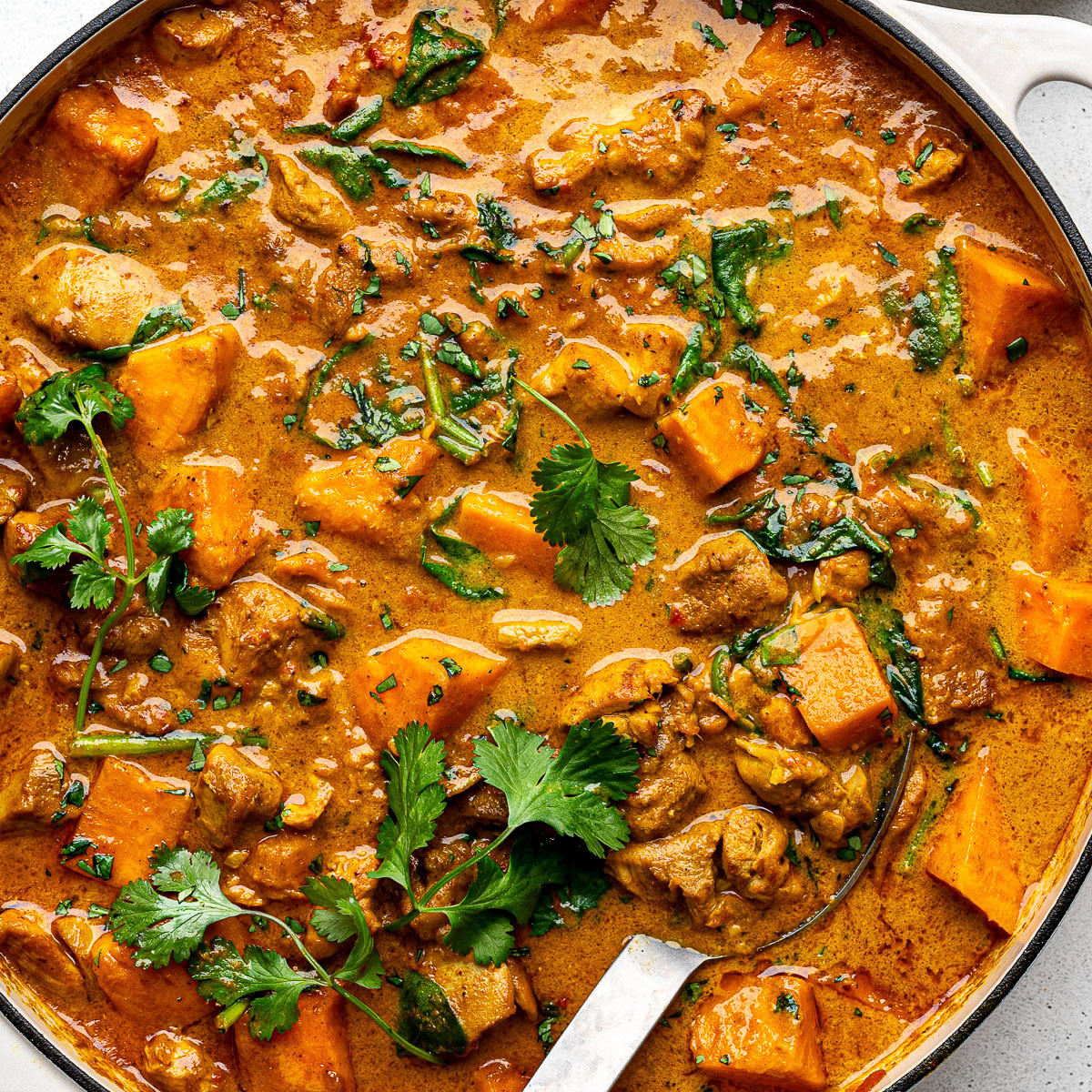 Cooked chicken sweet potato curry in a large skillet garnished with chopped cilantro.