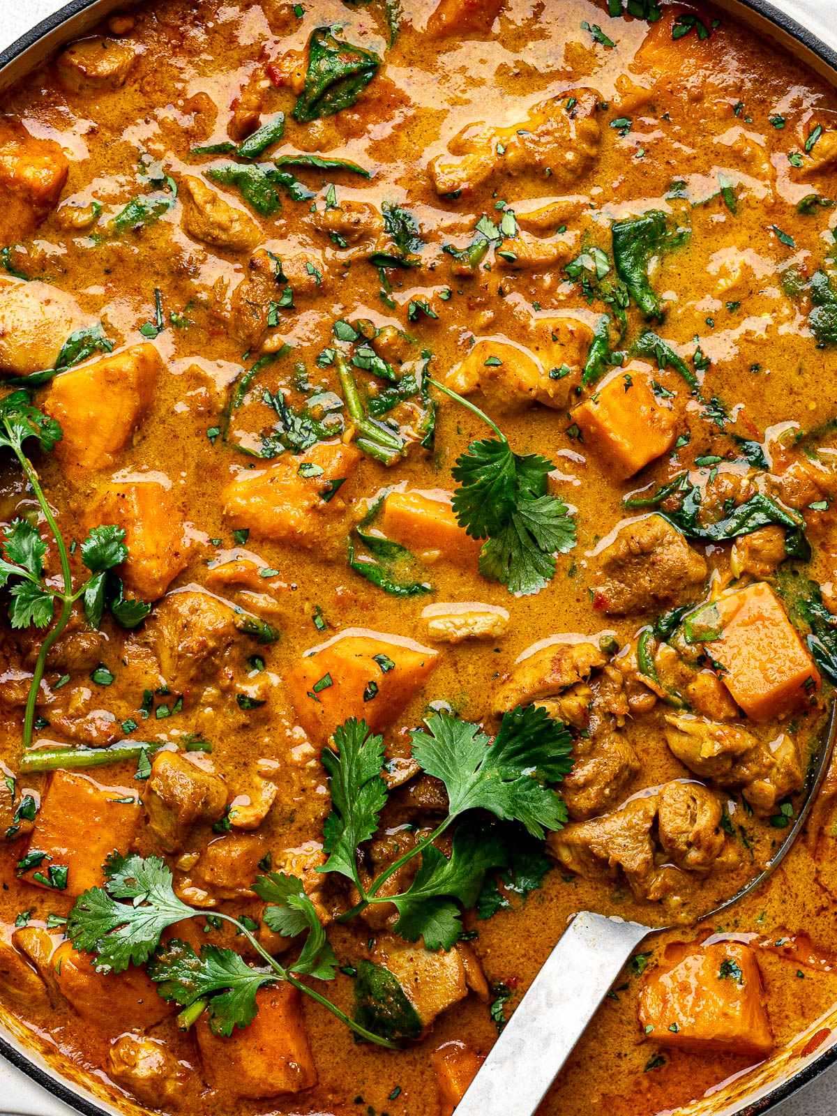 closeup of Cooked chicken sweet potato curry in a large skillet garnished with chopped cilantro.