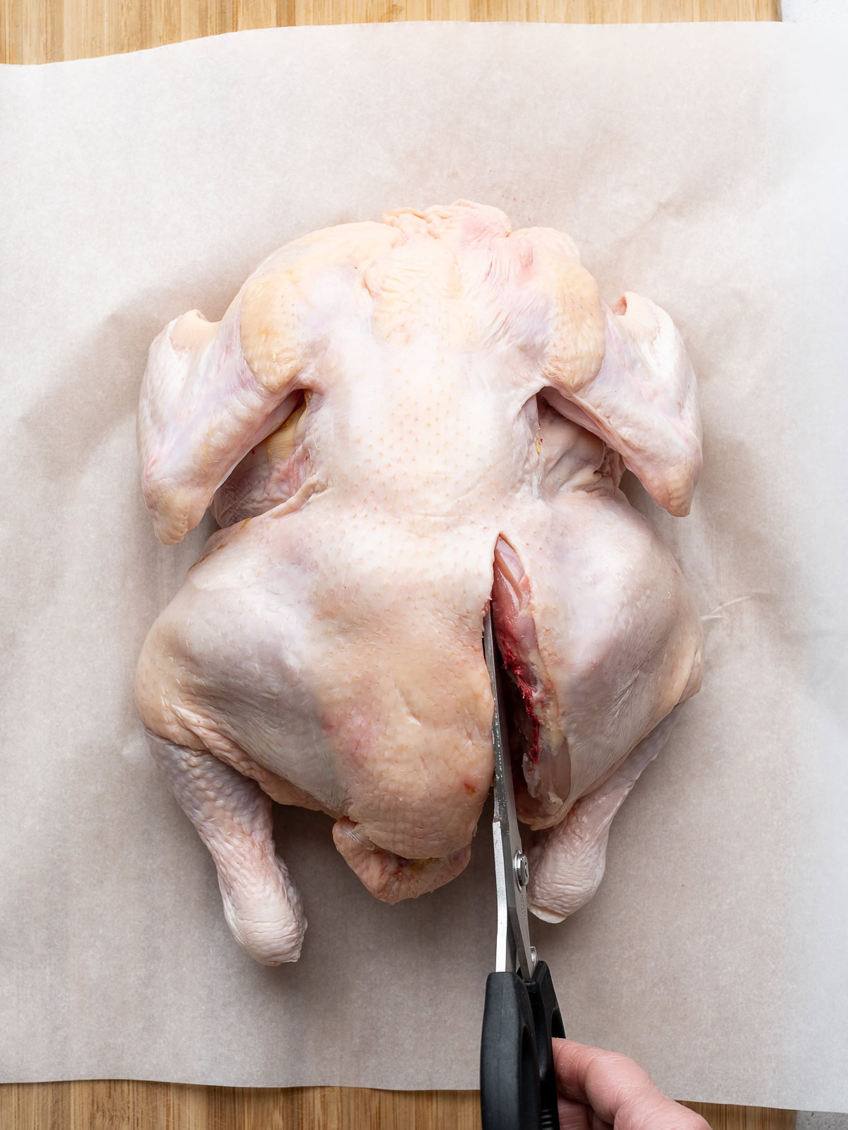 Cutting out the backbone of a whole chicken with kitchen shears.