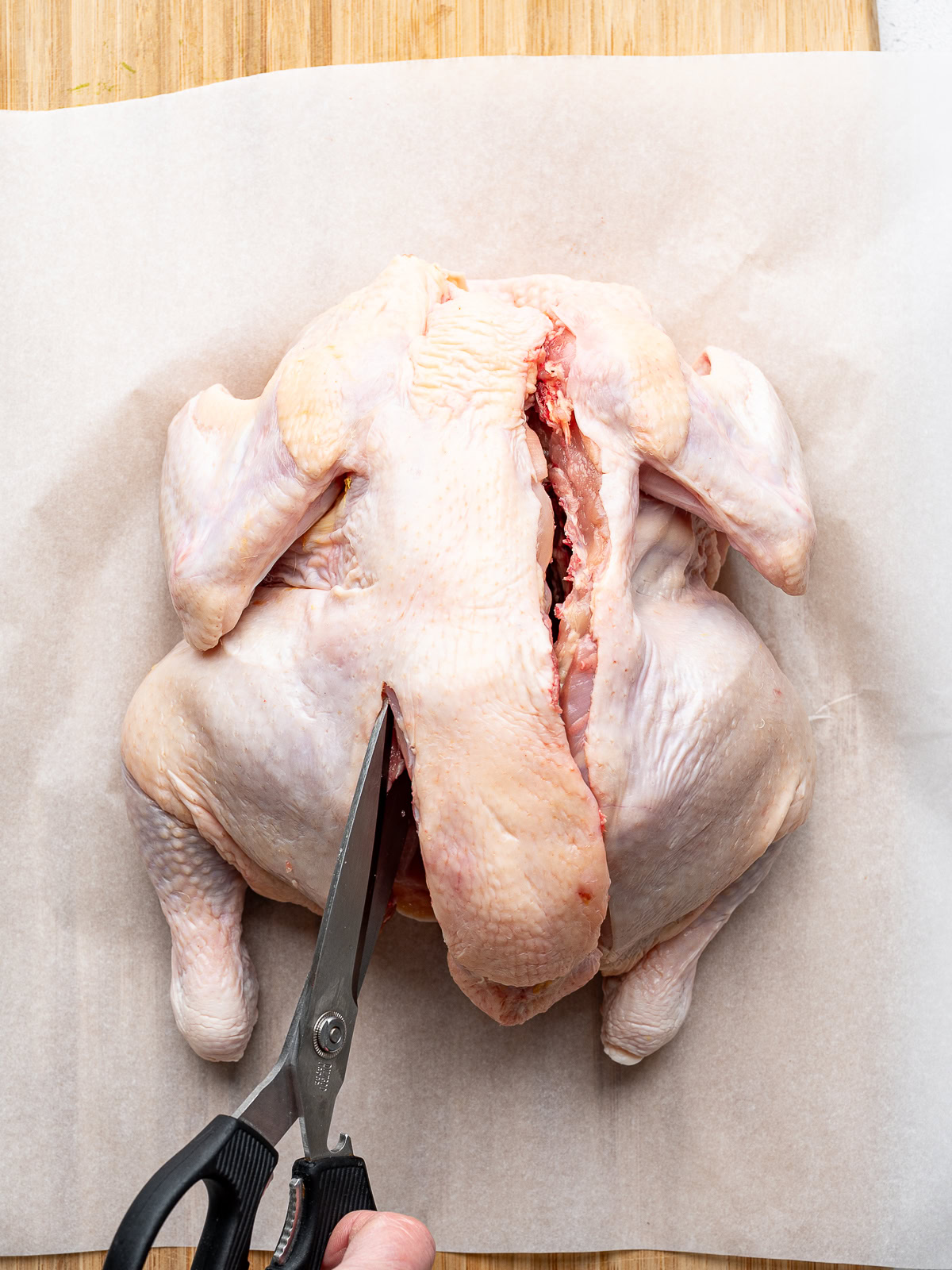 Cutting out the other side of the backbone of a whole chicken with kitchen shears.