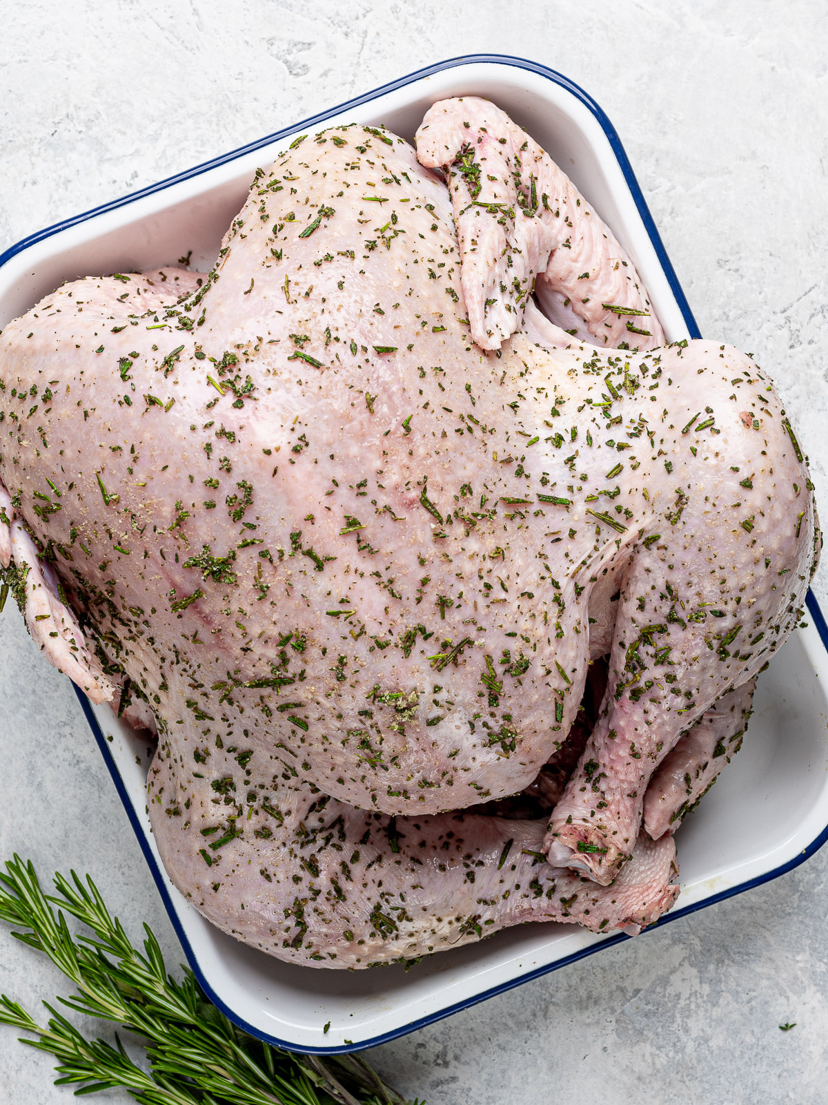 Spatchcocked turkey with dry brine in a baking pan ready for the fridge. 